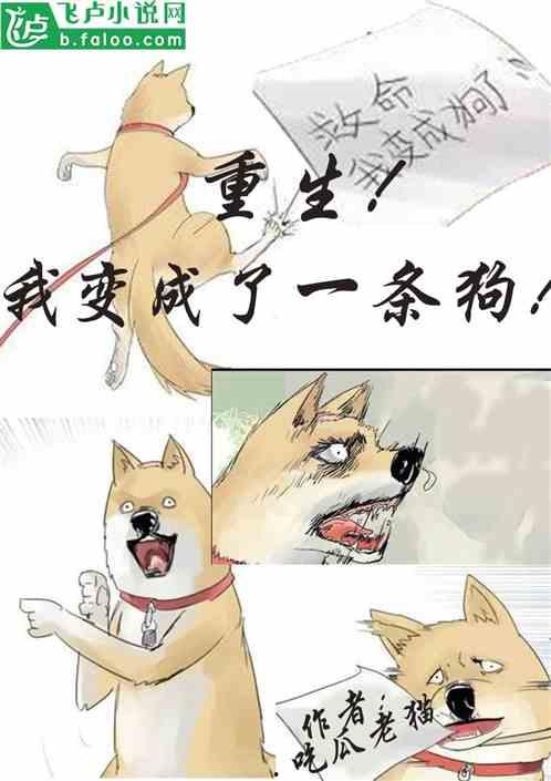 小说可欺吃瓜人,一场笑料百出的市井烟火