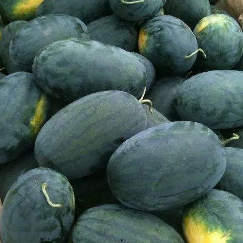 雾月吃不停瓜,一场美食与瓜果的盛宴