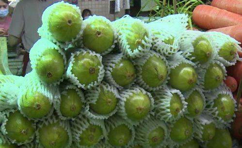 吃葫芦瓜可以摇摆吗,探寻天然食材的神奇魔力