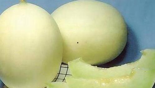 换肤后天天吃瓜