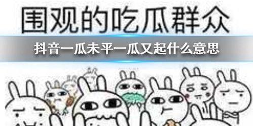 抖音快速吃瓜,快速吃瓜，紧跟热点！