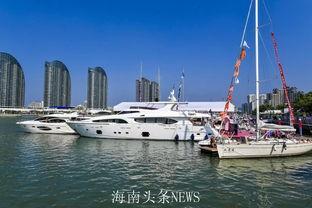 海天盛筵吃瓜,一场吃瓜盛宴背后的故事