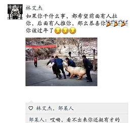 吃瓜吃的太认真的说说,揭秘网络时代下的娱乐狂欢