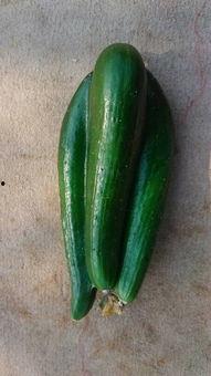 瓜还可以这么吃,创意吃法大揭秘