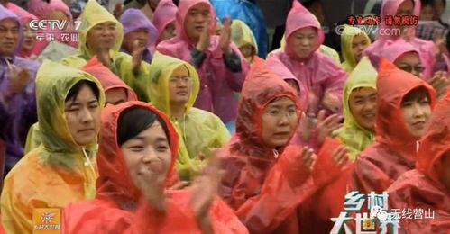 吃瓜大世界视频,揭秘娱乐圈幕后故事